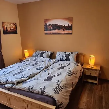 Ferienwohnung Aaron II Inkl Bettwaesche Handtuecher Endreinigung Goslar Buitenkant foto